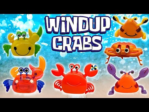 Crabs as Windup Toys | Baby Neptune | Cameron the crab
