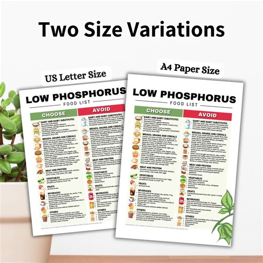 Low Phosphorus Diet Food List for Stage 4 Kidney Disease Renal Diet, Kidney Friendly Food List, Low Phosphorus Kidney Diet Foods Printable - Etsy