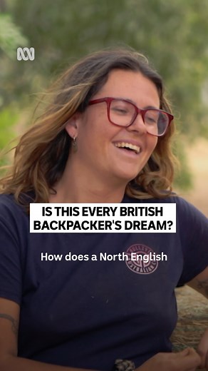 484K views · 6.6K reactions | "Try explaining that to your family"  Back Roads — Stream now on ABC iview. | ABC iview | Facebook