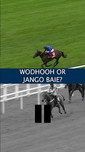 JANGO BAIE or WODHOOH?