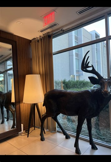 $0 to Book. NO DEPOSIT Pay when checking in when you click that link! Book right in tiktok with @expedia ! Aracade. Pool table. Make sure you check out Webers restaurant right on site! #tiktokgorisingstarsl1 #luxuryhotel #staycation #annarbor #hotel NR Ann Arbor, Ann Arbor, Michigan, Ohio, Detroit Toledo, Travel, hotel, family, fun couples fiancé, boyfriend, girlfriend, husband, wife, date night, travel, trip, date, night ideas