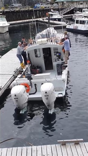 Gyro stabilizer is insane 👏😲