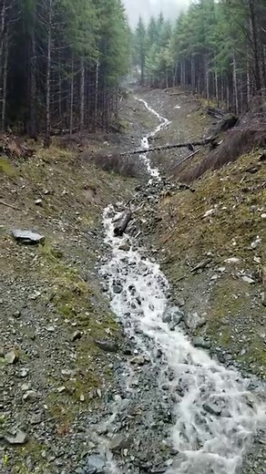 Hi you guys. One thing you really have to be extra careful of living in a rain forest is land slides .you guys have a blessed day today #land #landslide #rainforest #steep #Powerful #mountains #beautiful #waterproof #luxurylifestyle #SweetTreats #facebookreel #facebookreel #farming #cabinlife #memories #liveyourlife #Alaska #FaithOverFear #livecolorfully #fyp #meta #missmydog | Alaska's jim stone living wild