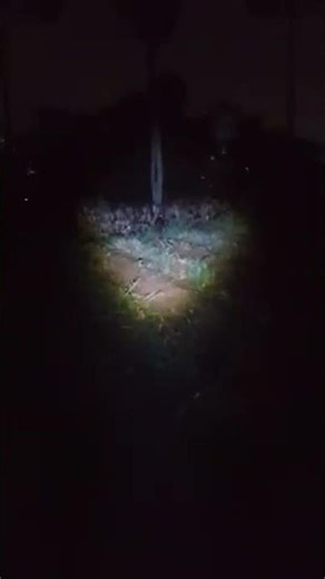 sosok apa ini ya!!??