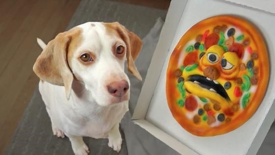 Beagle dog vs annoying pizza prank hilariously tested