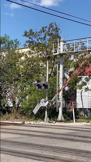 Hear those Mechanical RR Crossing Bells go Clang! #csx #railfanning #railroadcrossing #shorts