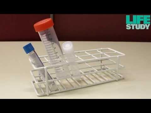 How to collect cord blood