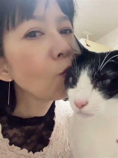 魔の３時の夜泣きがうるさいけど可愛いウーロン♥️憎めない💕#猫 #ねこのいる暮らし #保護猫 #夜泣き #ハチワレ
