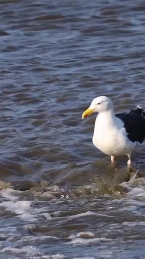 اجعل القرآن ربيع قلوبنا