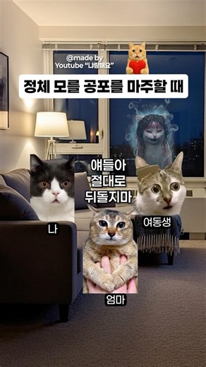 도무지 알 수 없는 실체 없는 공포가 다가올 때 🐱 #고양이밈 #shorts