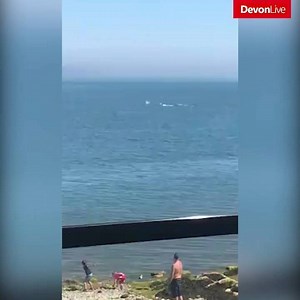 In case you missed it - watch a pod of dolphins swimming off this Brixham beach. You can read all about it here: https://www.devonlive.com/news/devon-news/watch-dolphins-spotted-swimming-devon-1712294 | Devon Live What's On