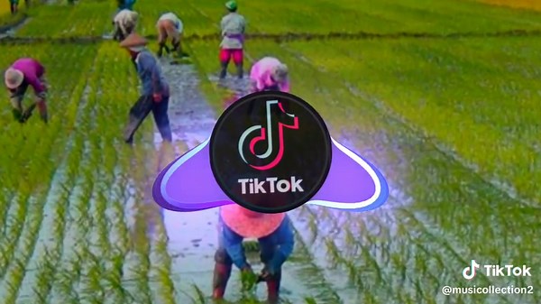 DJ Unity Mashup by DJ Boniver