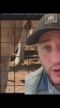 Texas cattle fraud case involved $220 million, feds say