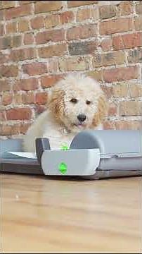 BrilliantPad Smart: Intelligent Roll Monitoring