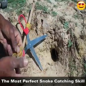 Easy Snake Trap - Creative Method DIY Snake Trap Using Cutter That Work | Avishkar Tamang