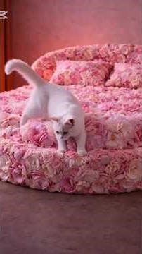 Cat Discovers Beds Made of Lava, Ice, Diamonds & More #asmr #fantasy