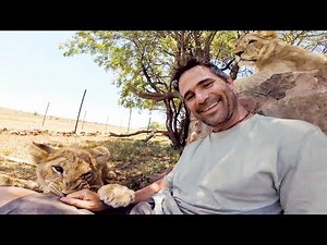 Poor George & His Cataract Surgery! | The Lion Whisperer