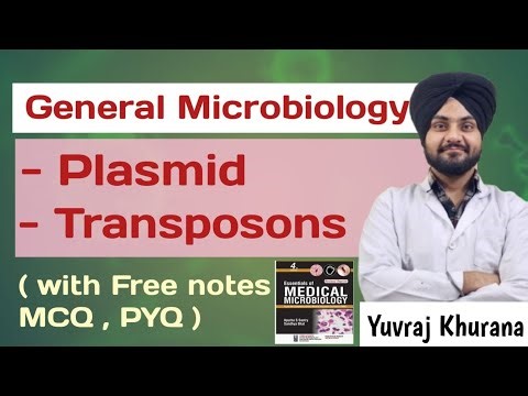 Plasmid and types | Transposons | General Microbiology | Medico Paji 