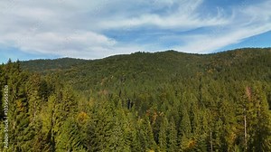 This stunning aerial landscape beautifully showcases the lush green forests and rolling hills beneath a clear blue sky