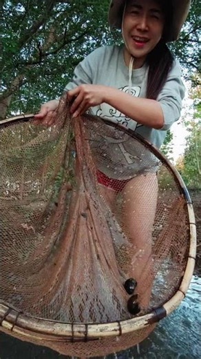 Spoon shrimp and get shellfish #lifestyle #nature #farming