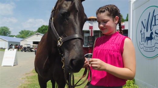 Meet the Morgan - America’s First Breed!🐴 Celebrated for their versatility, endurance, and willing nature, Morgan horses shine in saddle seat, hunter and western pleasure, eventing, and much more. Their natural animation and athleticism also make them strong competitors in dressage and combined driving. Learn more about these talented and dependable partners ➡️ https://www.usef.org/compete/breeds/morgan American Morgan Horse Association | #USEquestrian | US Equestrian