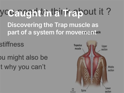 Recording from Caught in a Trap