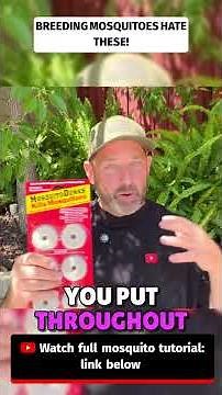 Breeding Mosquitoes HATE These! 🦟🔥 (Mosquito Dunks + MosquitoCon) #mosquitocontrol #mosquitoes