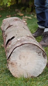 99K views · 53 reactions | Log Cutting Made Easier with Ladders! | Science, Tech and Universe | Facebook