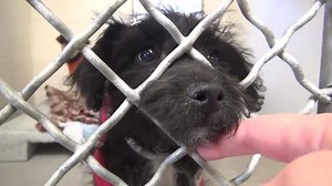 326 reactions · 568 shares | She's just 3 months old and super cute....