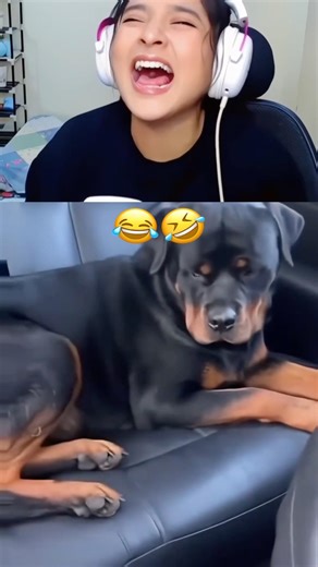 "When a Rottweiler Meets a Tiny Puppy – An Unexpectedly Funny Moment!"|| #animals #funnydogs #shorts