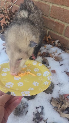 Jessica Kerr on Reels