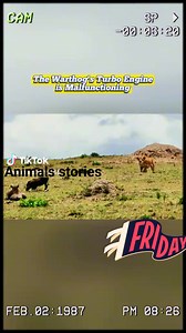 12K views · 102 reactions | #viralpost2024 #highlightsmr #animation #everyone #follow #highlights the warthog's turbo engine is malfunctioning. | Animals stories | Facebook