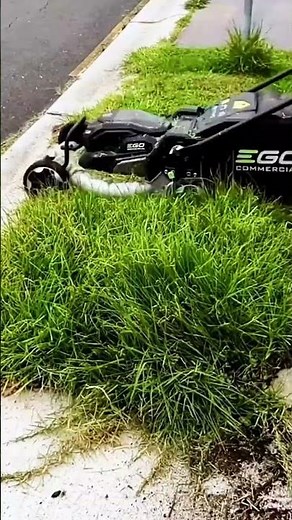 Perfectly edged lawn in 10 minutes #satisfying #lawncare #gardening