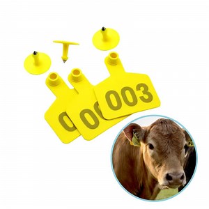 [Hot Item] Factory Custom Cattle Sheep Tags for Animal Identification