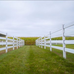[Hot Item] Cheap Price White Steel Ranch Fence 3/4 Rails Metal Horse Ranch Fence for Farm