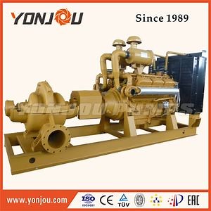 [Hot Item] Diesel Engine Driven Water Pump