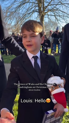 Claire✨ on Instagram: "Meet the Wales children🥰 #princelouis #royalty"