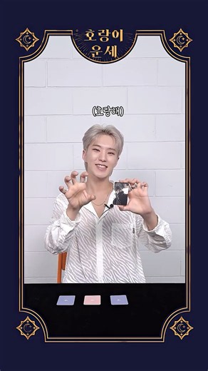 [HOSHI TAMTAM] 호랑이 운세 #6