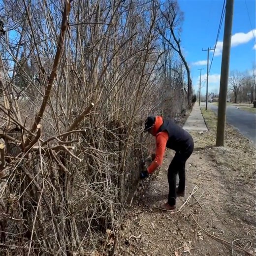 Road edging sidewalk cleaning ever done so satisfyingly 🍃#satisfying #asmr | Lawn Care Services