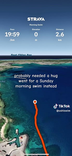 Enjoying a Sunday Morning Swim in Open Waters