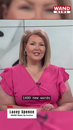 Somehow, these new words made it into the dictionary. Some call them brain rot; others call them Merriam-Webster entries. #looksmaxxing #crashout #merriamwebster #dictionary #fyp
