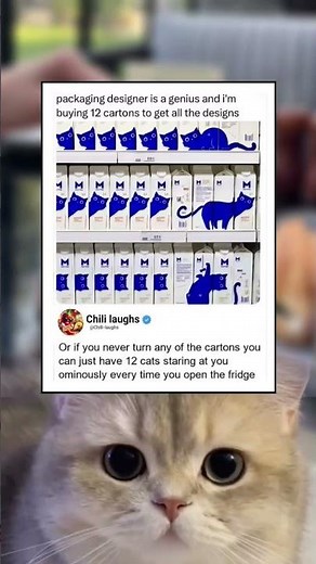 Whoever designed these milk cartons deserves a raise