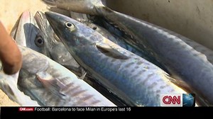 Fishing woes in Gaza