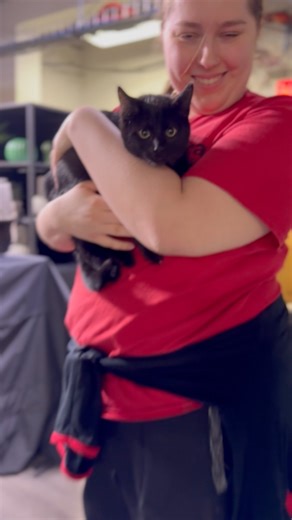 5.5K views · 354 reactions | Scruffy and Lucy went to visit Adam Clements Local 12 News & our friends at Local 12 in hopes to find their forever homes tomorrow! 11900 Conrey Road to meet these deserving pets. | SPCA Cincinnati | Facebook