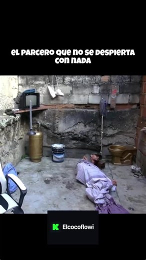 #cocoflowi #streamer #stream #paratii