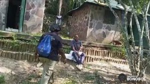 Suzy Kwetuenda, Coordinator of Bonobo Wellness and Sanctuary Hospitality, introduces Kamina who was recently rescued from illegal wildlife trade and is currently thriving at Lola Ya Bonobo. #BonoboRescue #EndangeredSpecies | Friends of Bonobos