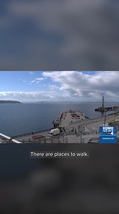 18K views · 110 reactions | In a couple of days, visitors will be...