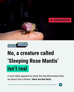 7.2K views | The News Literacy Project on Reels | Facebook