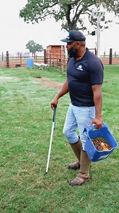 154K views · 2.7K reactions | Even the "best horse in the whole world" needs to learn manners sometimes!  Watch how we gently remind Enoch to be patient and respectful during feeding time. It's all about setting clear expectations and reinforcing good behavior, no matter how much we love our horses. ❤️ #horsetraining #patience #respect #steadyhorse | Steady Horse | Facebook