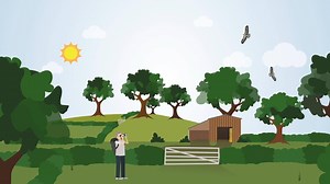 7.4K views · 14 reactions | Buzzing about Buzzards – research by Hawk...